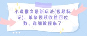 小说推文最新玩法(视频标记)，单条视频收益四位数，详细教程来了-项目资源库