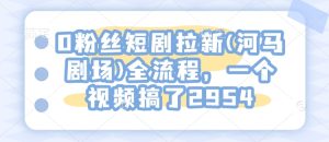0粉丝短剧拉新(河马剧场)全流程，一个视频搞了2954-项目资源库