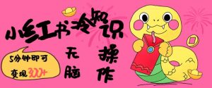 小红书冷知识账号,无脑复制粘贴,5分钟即可变现3张-项目资源库