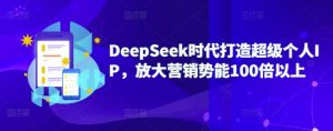 DeepSeek时代打造超级个人IP,放大营销势能100倍以上-项目资源库