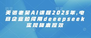 天诺老吴AI课程2025年，电商企业如何用deeepseek实现降本提效-项目资源库