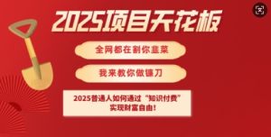 2025项目天花板普通人如何通过知识付费，实现财F自由【揭秘】-项目资源库