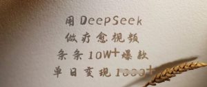 用DeepSeek做疗愈视频,条条10W+爆款,单日变现多张-项目资源库