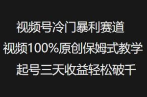 视频号冷门暴利赛道视频100%原创保姆式教学起号三天收益轻松破千-项目资源库