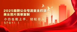 2025最新公众号流量主打法,美女图片简单复制,小白也能上手,轻松日入5张-项目资源库