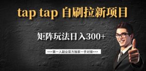taptap拉新自刷项目,一个新用户14元,矩阵玩法日入300+-项目资源库