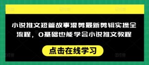 小说推文短篇故事混剪最新剪辑实操全流程，0基础也能学会小说推文教程，肯干多发日入多张-项目资源库