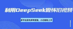 利用DeepSeek做怀旧视频,流量号多渠道变现能力强-项目资源库