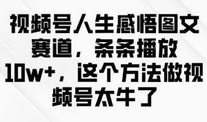 视频号人生感悟图文赛道,条条播放10w+,这个方法做视频号太牛了-项目资源库