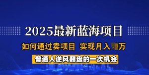 2025蓝海项目，普通人如何通过卖项目，实现月入过W，全过程【揭秘】-项目资源库