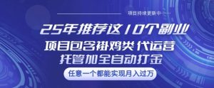 25年推荐这10个副业项目包含褂鸡类、代运营托管类、全自动打金类【揭秘】-项目资源库