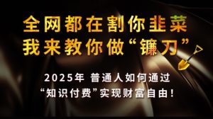 全网都在割你韭菜,我来教你做镰刀,2025普通人如何通过知识付费,实现财F自由【揭秘】-项目资源库