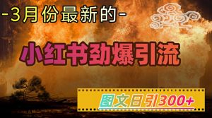 小红书超劲爆引流手段,图文日引300+轻松变现1W-项目资源库