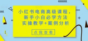 小红书电商高级课程,新手小白必学方法,实操教学+案例分析-项目资源库