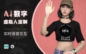 Ai数字人虚拟(智能体)实时语音交互特训营,自行定制超写实角色AI数字人交互技术-项目资源库