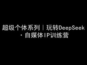 超级个体系列，玩转DeepSeek·自媒体IP训练营，deepseek教程-项目资源库