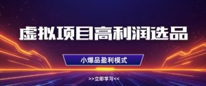 虚拟项目高利润选品方法,做好单店利润1W+,可多店倍增利润-项目资源库