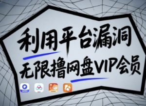 利用平台漏洞,无限撸网盘VIP会员,用户亲测有效!【漏洞原理+操作演示】-项目资源库