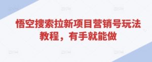 悟空搜索拉新项目营销号玩法教程，有手就能做-项目资源库