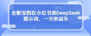 全职宝妈在小红书卖DeepSeek提示词,一天收益1k-项目资源库