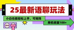 25年最新语聊玩法,纯手工,单机收益100+,小白也能轻松上手,可矩阵操作-项目资源库