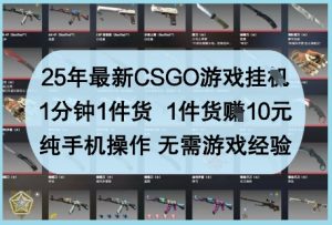 25年最新CSGO游戏挂G，1分钟1件货，1件货挣10元，纯手机操作，无需游戏经验【揭秘】-项目资源库