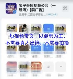 宝子哥头部团队短视频带货,以混剪为主,不需要真人出镜,不需要拍摄-项目资源库