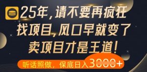什么?25年你还在疯狂找项目做,醒醒吧,看完这些你全都懂了【揭秘】-项目资源库