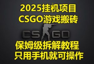 2025挂G项目，CSGO游戏搬砖，保姆级拆解教程，只用手机就可操作【揭秘】-项目资源库
