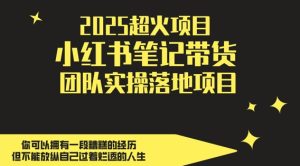 2025超火项目,副业最佳选择,小红书笔记带货团队实操落地项目,,轻松日入5张-项目资源库