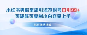 小红书男粉常规引流不封号日引99+变现简单 可矩阵可复制小白容易上手-项目资源库