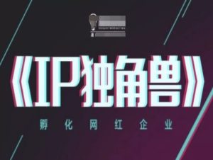 IP独角兽,孵化网红企业,ip教程-项目资源库