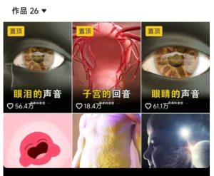 抖音坚果3D动画科普项目，撸视频号分成和抖音伙伴计划，适合零基础小白-项目资源库