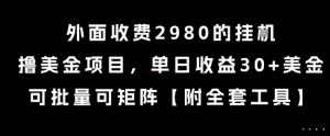 外面收费2980的挂G撸美金项目，单日收益30+美金，可批量可矩阵【揭秘】-项目资源库