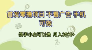 首发零撸项目 不看广告 手机可做 新手小白可以做 月入3k+【揭秘】-项目资源库