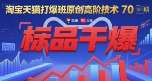 淘宝天猫打爆班原创高阶技术第70期:标品干爆-项目资源库