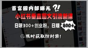 首富圈内部曝光小红书垂直图文引流新课,日吸300+创业粉,日入8张+,限时获取防封禁-项目资源库