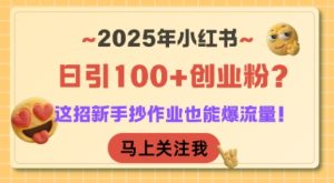2025年小红书日引100+创业粉?这招新手抄作业也能爆流量!-项目资源库