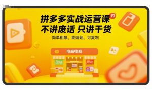 拼多多实战运营课,不讲废话只讲干货,简单粗暴,能落地,可复制-项目资源库