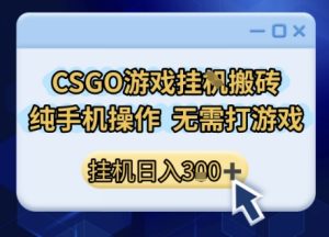 CSGO游戏挂G搬砖，小白纯手机即可操作，不用电脑打游戏，日入3张+，副业网创项目【揭秘】-项目资源库