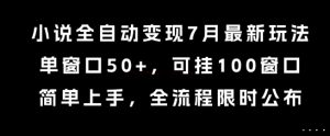 小说全自动变现7月玩法，单窗口50+，可挂100窗口，简单上手，全流程限时公布【揭秘】-项目资源库