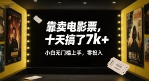 靠卖电影票,十天搞了7k+,小白无门槛上手,零投入【揭秘】-项目资源库