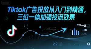 Tiktok广告投放从入门到精通,三位一体加强投流效果-项目资源库