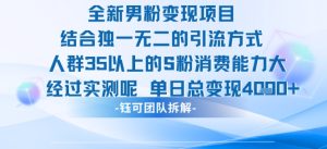 全新男粉变现项目引流人群35以上的男粉消费能力大 经过实测单日变现1k+-项目资源库