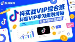抖音实战VIP综合班,抖音VIP学习规划请晰抖音各种变现渠道-项目资源库
