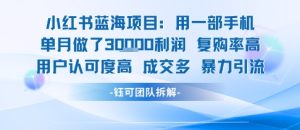 小红书蓝海项目，一部手机单月做了3W利润，小白也能月入过1W用户认可度高成交多-项目资源库