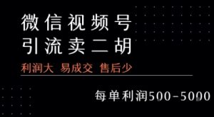 视频号卖二胡教程,利润大 易成交 售后少,一单利润5张+-项目资源库