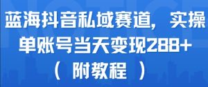 蓝海抖音私域赛道，实操单账号当天变现288+(附教程)-项目资源库