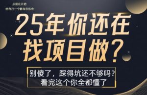 25年,你还在疯狂的找项目吗?别傻了,看完这个你都懂了【揭秘】-项目资源库
