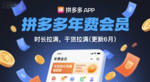 拼多多年费会员,实经验分享操,时长拉满,干货拉满(更新8月)-项目资源库